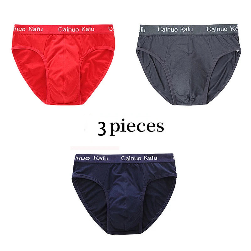 Men 3-Pack Silk Briefs Underwear