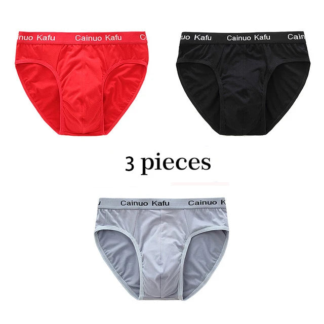 Men 3-Pack Silk Briefs Underwear