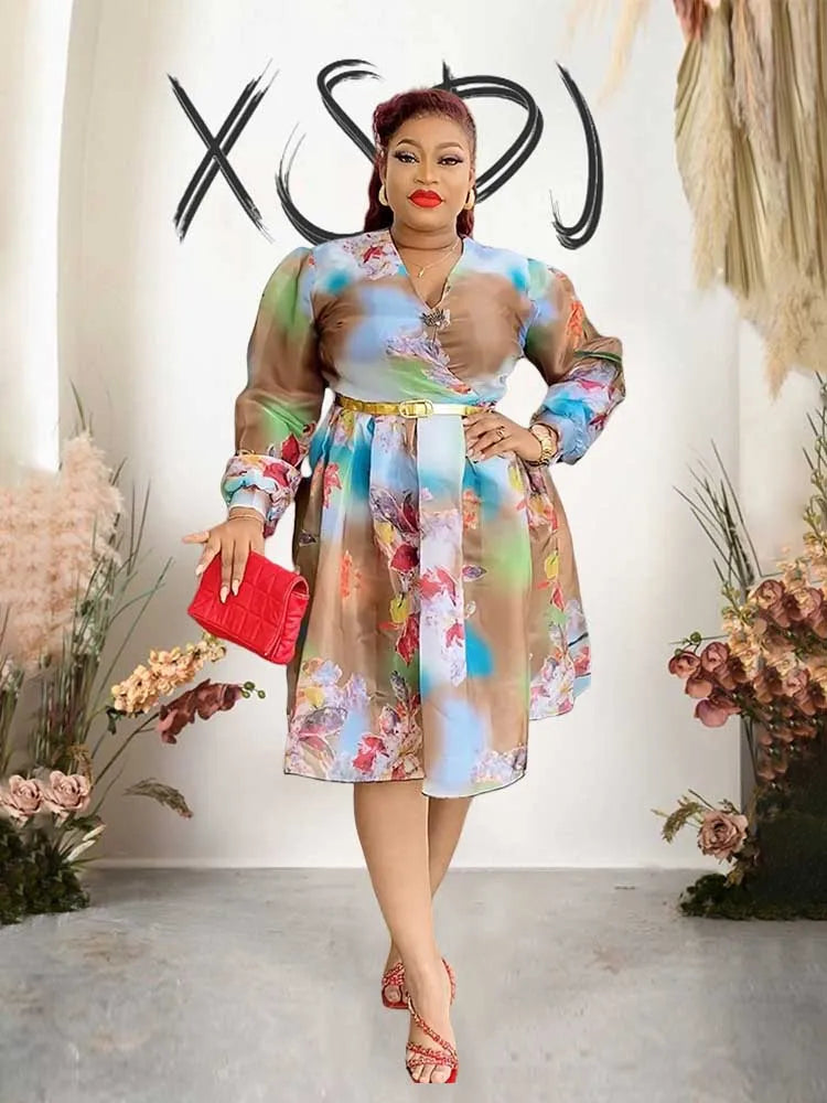 Women V-Neck Chiffon Print Dress