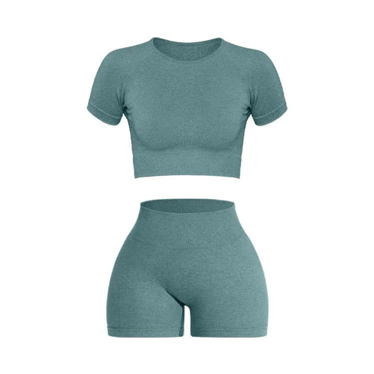 Women Seamless Ribbed Sports Set