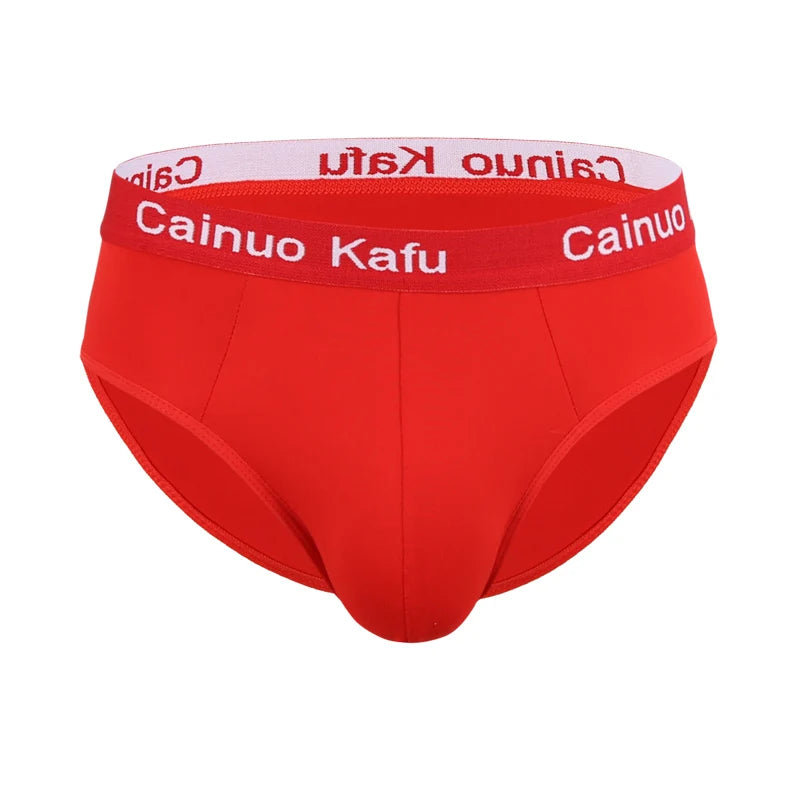 Men 3-Pack Silk Briefs Underwear