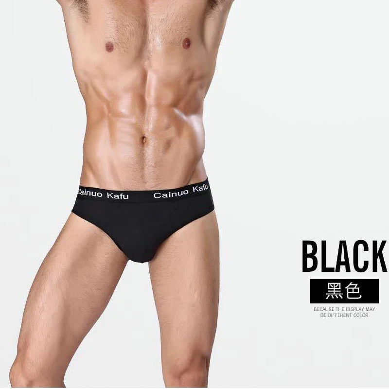 Men 3-Pack Silk Briefs Underwear