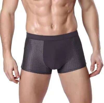 Men's Plus Size Ice Silk Mesh Underwear