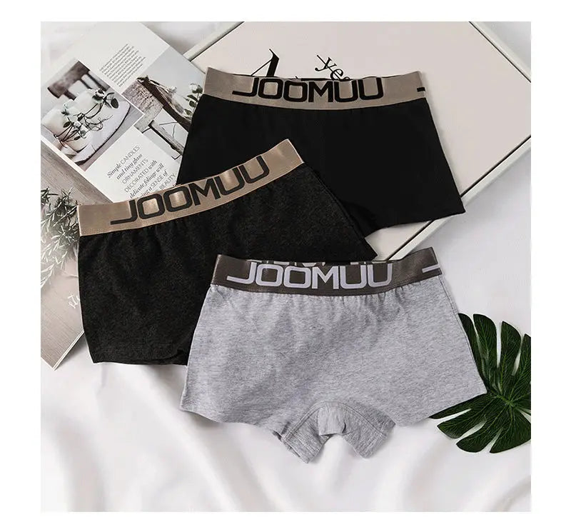 Women Cotton Lace Panties Set