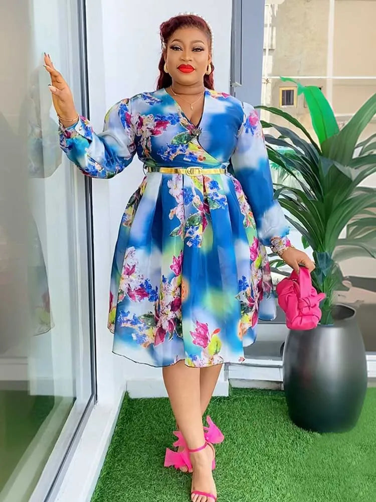 Women V-Neck Chiffon Print Dress