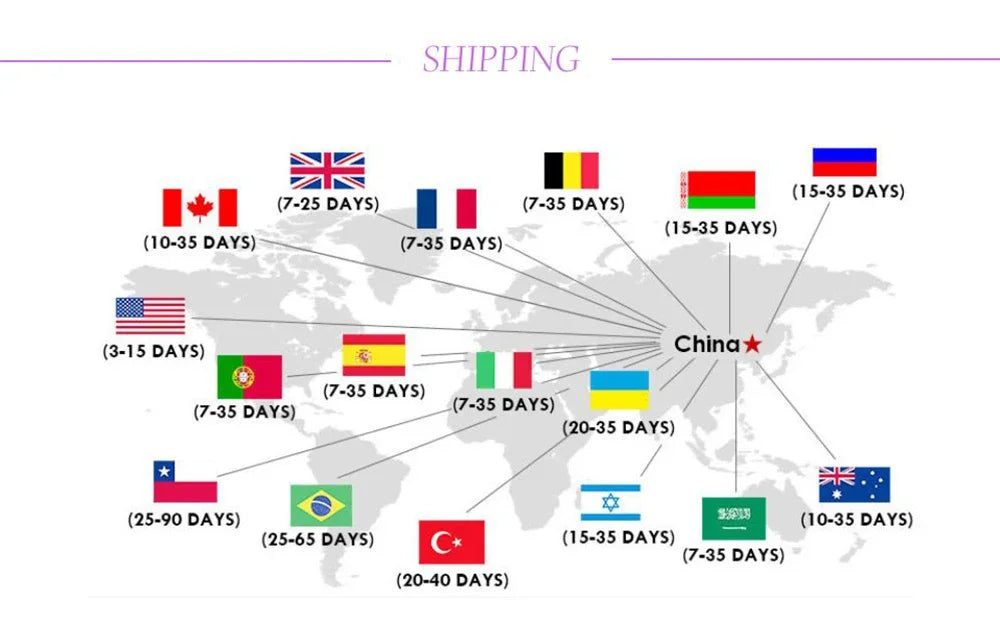 Women's Plus Size Hoodie – Border Collie Print