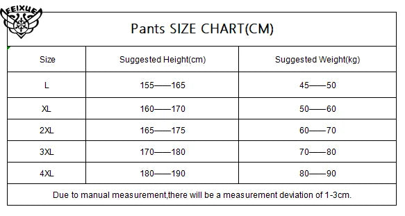 Men's Plus Size Beach Swim Shorts