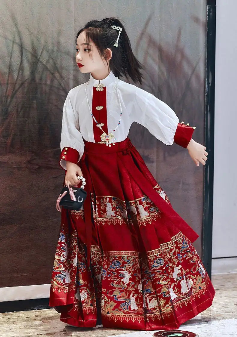 Summer Hanfu girls dress featuring embroidered skirt and traditional design, suitable for celebrations and special occasions.