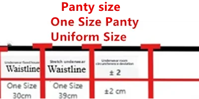 Women Triangle Lace Bra Set