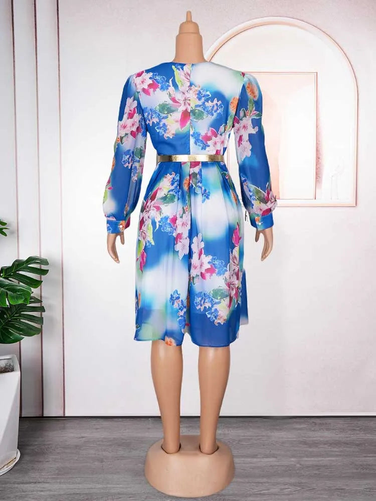 Women V-Neck Chiffon Print Dress