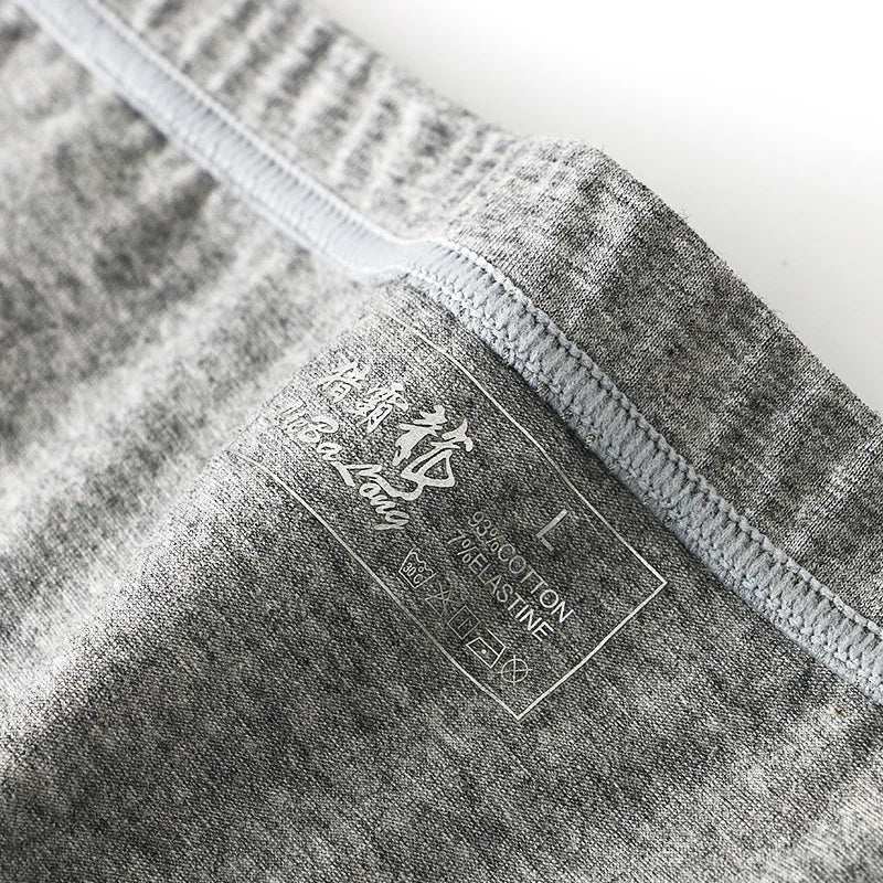 Men's Sexy Cotton Briefs – Seamless Low Rise