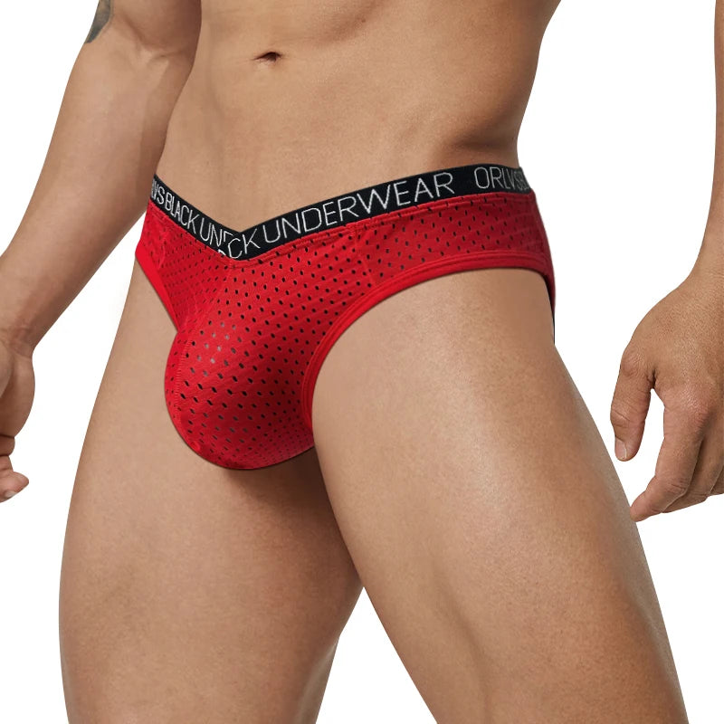 Men's Mesh Briefs – Gay Pouch Thongs