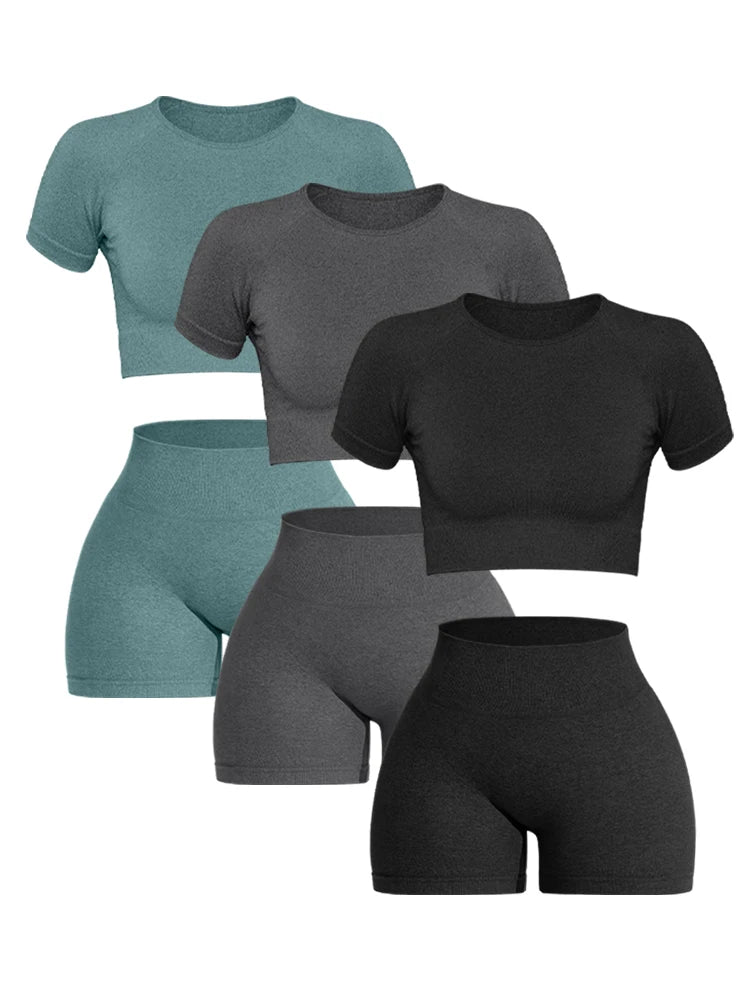 Women Seamless Ribbed Sports Set
