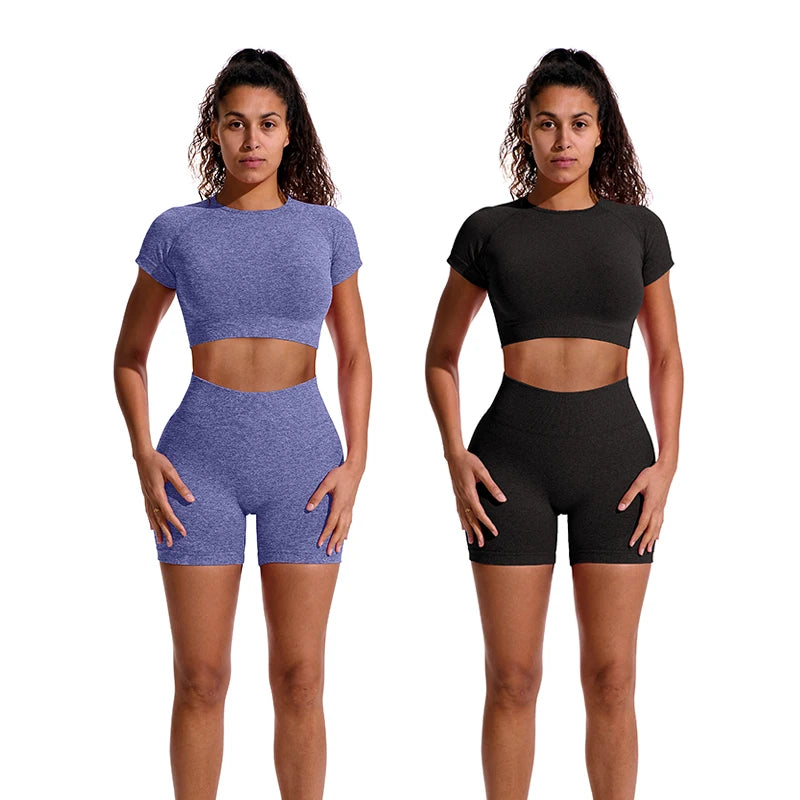 Women Seamless Ribbed Sports Set