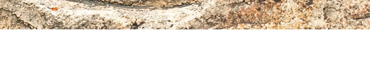 Men Low-Cut Rain Boots