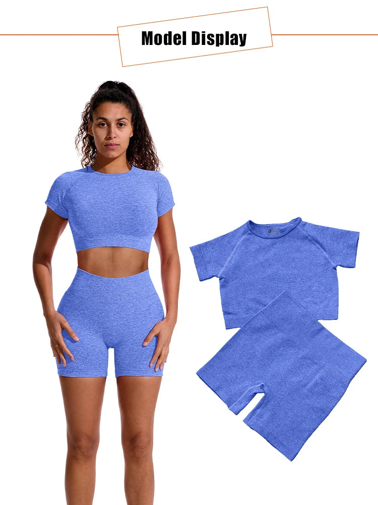 Women Seamless Ribbed Sports Set