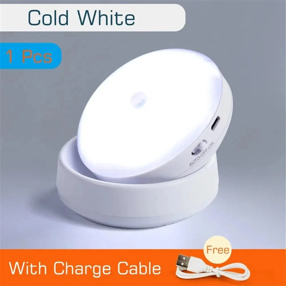 USB Rechargeable LED Night Motion Sensor Light