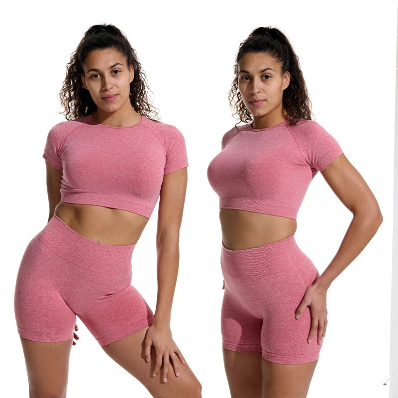 Women Seamless Ribbed Sports Set