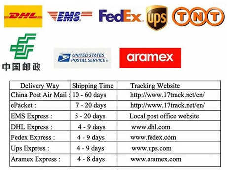 Delivery options and shipping times for China Post, DHL, FedEx, UPS, EMS, and Aramex.