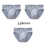 Men 3-Pack Silk Briefs Underwear