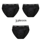 Men 3-Pack Silk Briefs Underwear