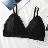 Women Lace Triangle Bralette