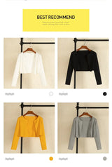 Women Black Cropped Knit Sweater