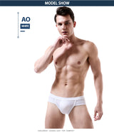 Men's Modal Briefs – Low Waist Sport Pocket