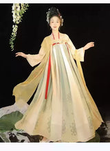 Hanfu traditional dress for women, elegant party outfit in soft colors, showcasing floral patterns and flowing design.