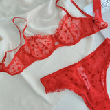 Women Mesh Bikini Lingerie Set