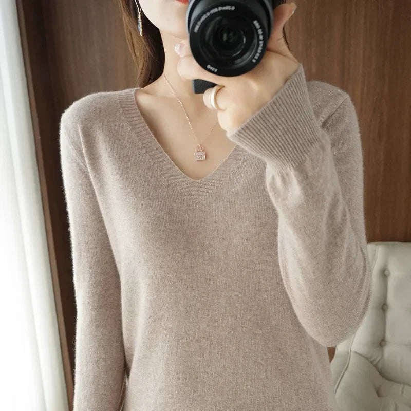 Women Slim Fit V-Neck Sweater