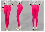 Women White Office Pants