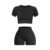 Women Seamless Ribbed Sports Set
