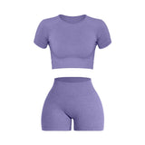 Women Seamless Ribbed Sports Set