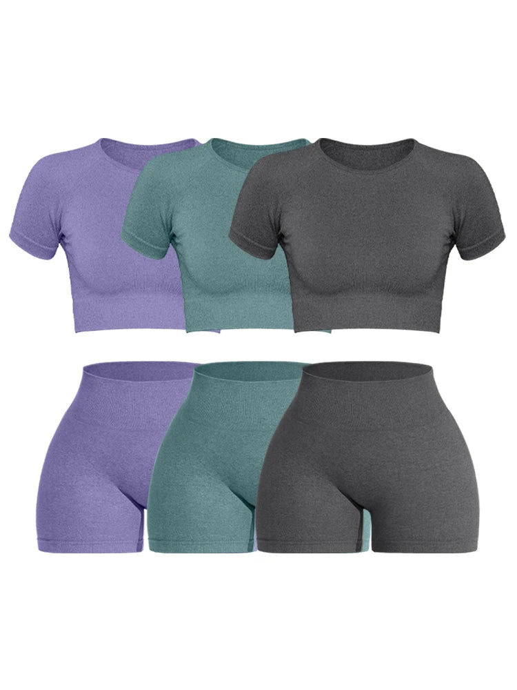 Women Seamless Ribbed Sports Set