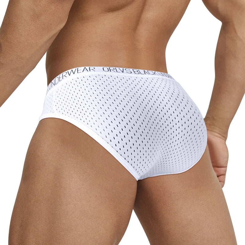 Men's Mesh Briefs – Gay Pouch Thongs