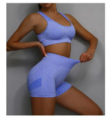 Women Fitness Vest & Shorts Set