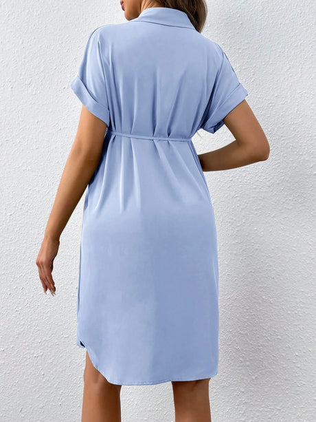 Back view of a casual maternity dress in light blue with short rolled sleeves and a turn-down collar.