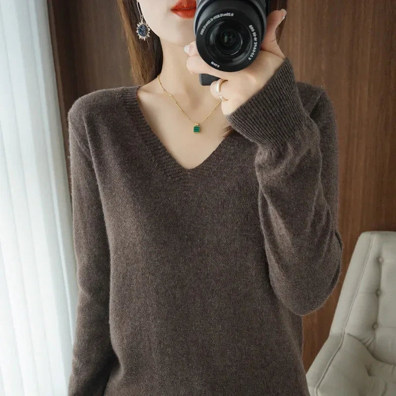 Women Slim Fit V-Neck Sweater