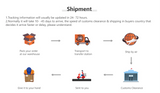 Infographic illustrating the shipping process including packing, transport, air shipping, and customs clearance.
