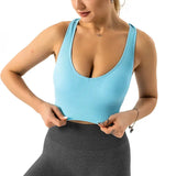 Women Ribbed Galaxy Seamless Sports Bra