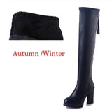 Women Over Knee Boots – 2025 Platform Block Heels