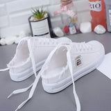 Women Canvas Shoes Classic Lace Up Sneakers
