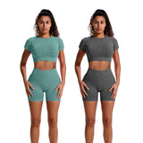 Women Seamless Ribbed Sports Set