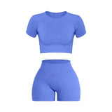Women Seamless Ribbed Sports Set