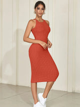 Casual Solid Halter Neck Bodycon Women's Dresses