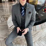 Men Plaid 3-Piece Business Suit