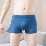 Men's Plus Size Ice Silk Mesh Underwear