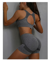 Women Fitness Vest & Shorts Set