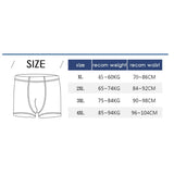 Men Flame Print Swim Briefs